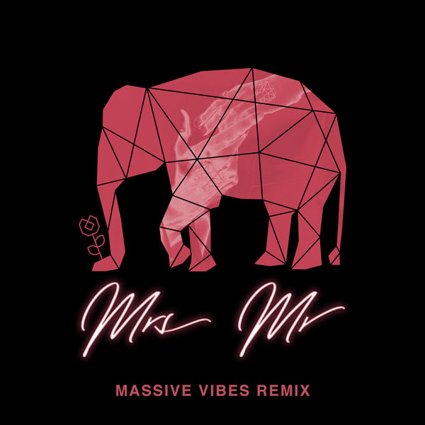 Mrs Mr (feat. Lizzy Land) [Massive Vibes Remix] - Single